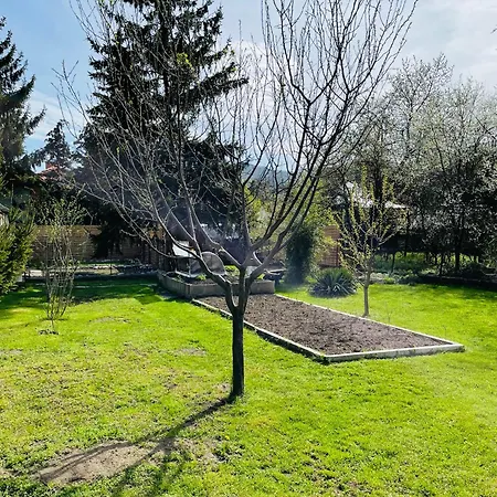 Zabszalma Vendeghaz Lägenhet