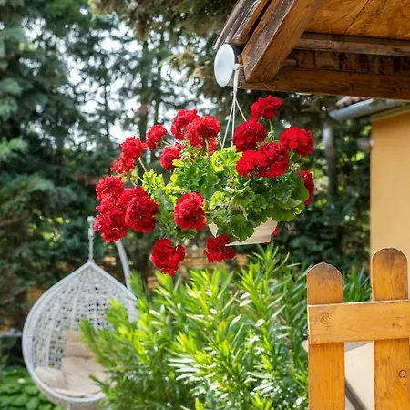 Lägenhet Zabszalma Vendeghaz *