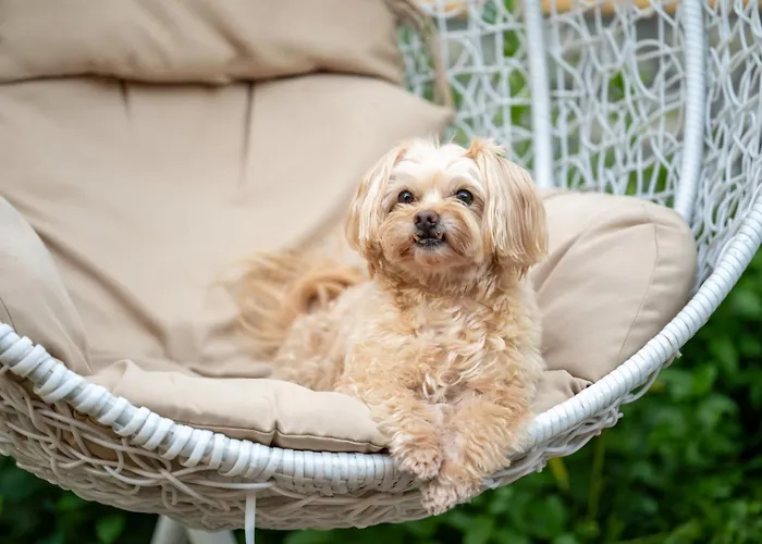דירה Zabszalma Vendeghaz Szilvásvárad