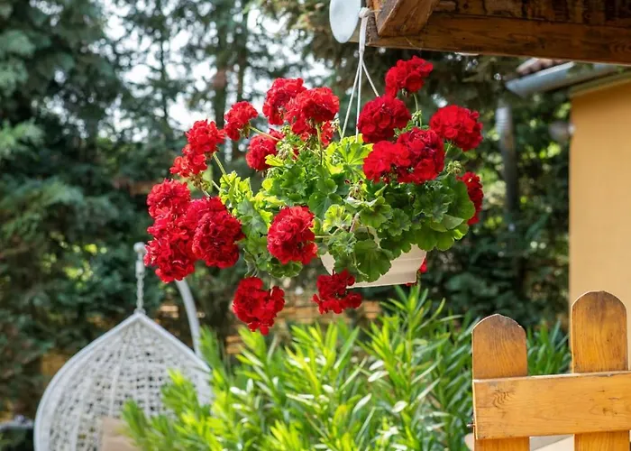 דירה Zabszalma Vendeghaz *